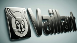 vaillant3